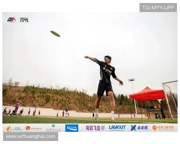 南京飞盘队在全国飞盘战术排行榜中荣获第四名的辉煌成就分析