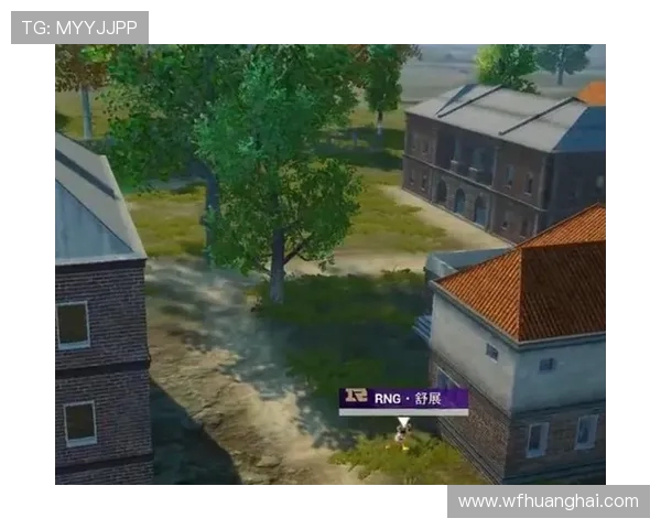 和平精英讨论热潮中RNG心理素质引发的争议与反思