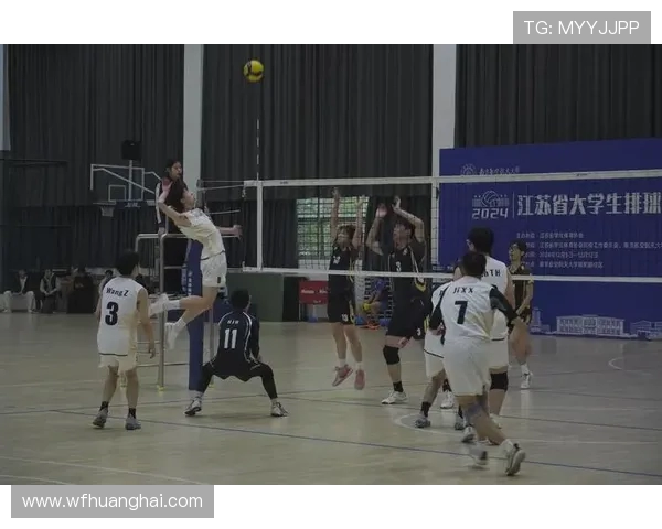 武汉排球队在排球团队协作中取得创新高成绩引发广泛关注与赞誉