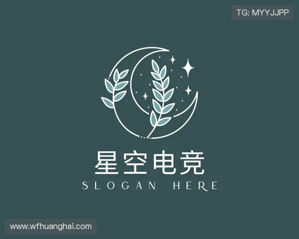 了解星空电竞官网